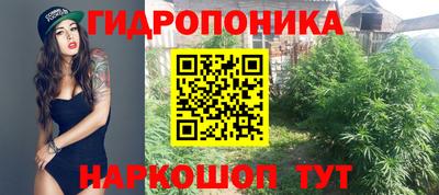 прущая мука Кимры