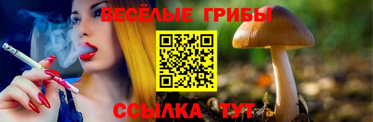 наркошоп  Галлюциногенные грибы ЛСД  Вход с VPN  Одинцово 
